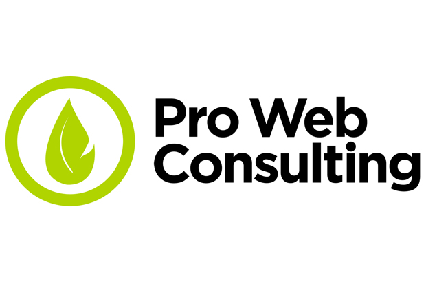 Proweb-Consulting-DA-USARE